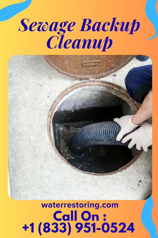 Sewage Backup Cleanup in Clinton, WI